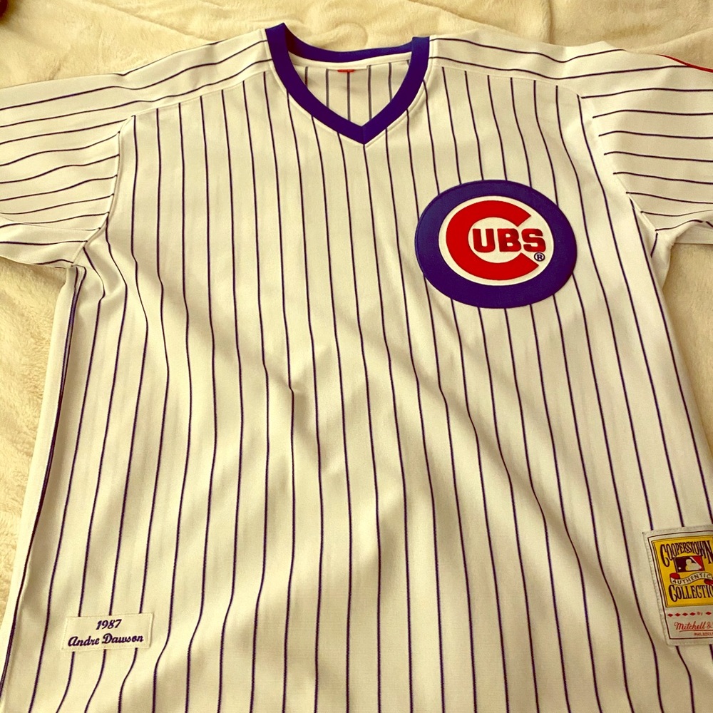 Authentic Mitchell & Ness Andre Dawson Jersey